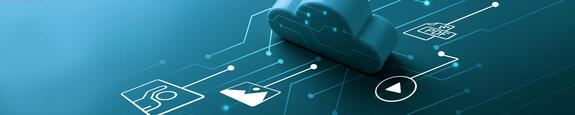 Worldwide Service Network