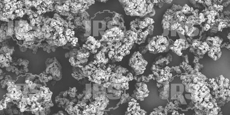 VIVAPHARM® PVPP XL-10 