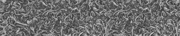 VIVAPHARM®  Alginates